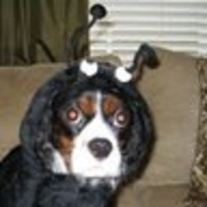 Meet your Posher, Stacy